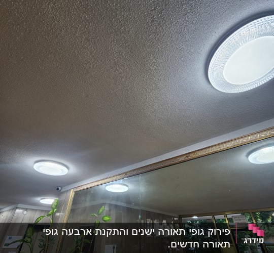 תאורה מותקנת בתקרה עם צמחים במבואה